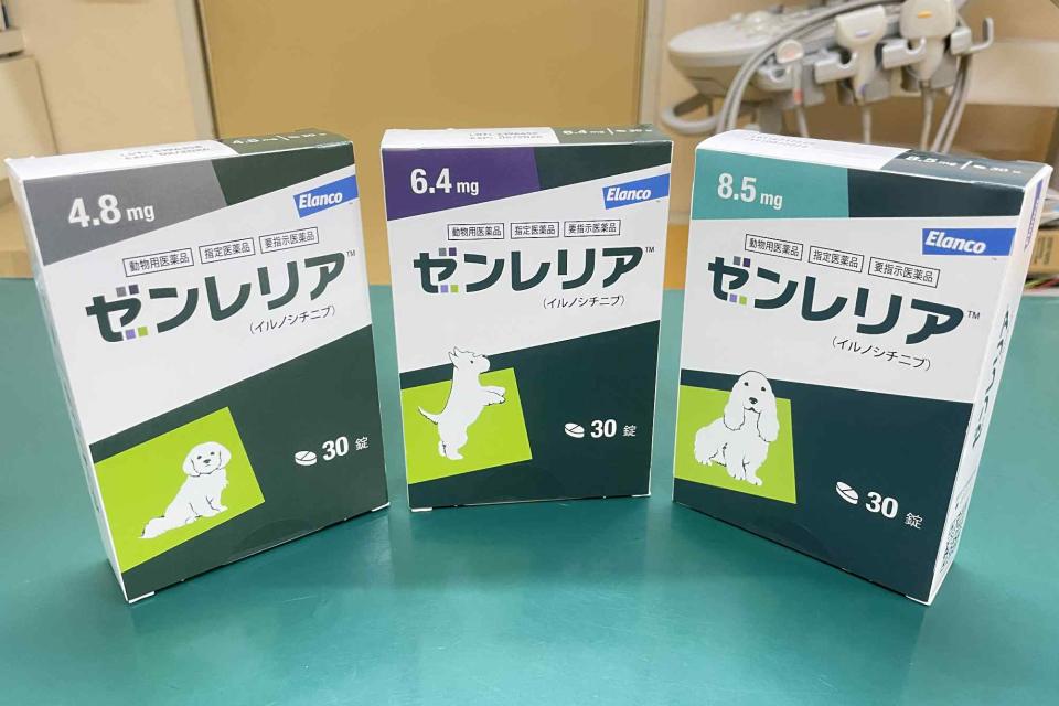 皮膚トラブルでお困りのオーナー様にの画像